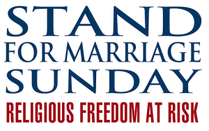 Stand for Marriage Logo